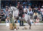 Pferd International 114
